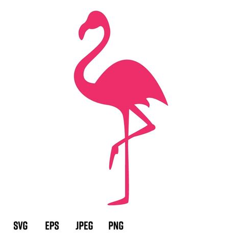 Flamingo Svg Flamingo Clipart Flamingo Cut File Cricut Cut Etsy