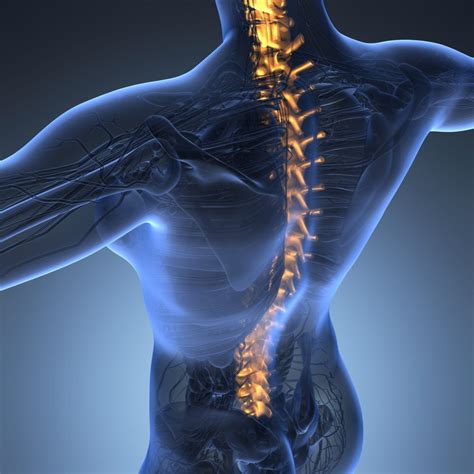 What To Expect After Spine Surgery Howell Allen Clinic