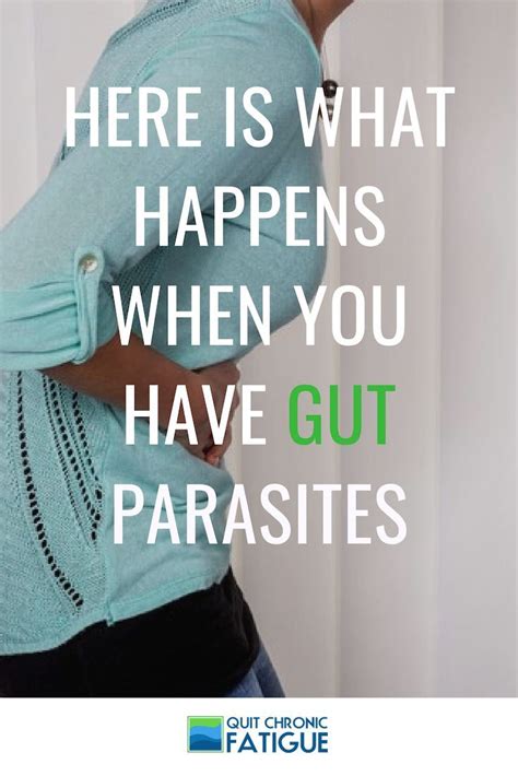Stomach Parasites Symptoms And How To Get Rid Of Them With Images