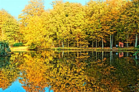 Sammlung von anna stevic • zuletzt aktualisiert: Die schönsten Herbstlaub-Fotos! | Landkreis Friesland