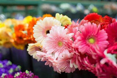 The 5 Best Florists In Phoenix