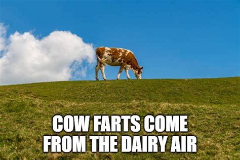 Cow Farts Imgflip