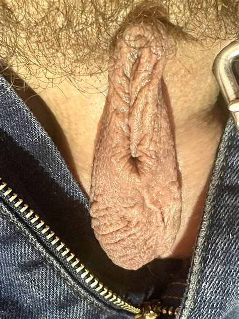 inverted penis pussy 13 pics xhamster