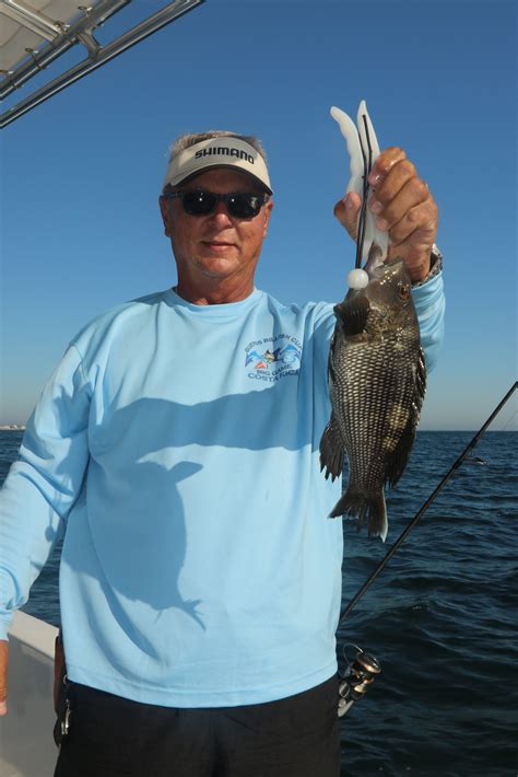 The Recreational Black Sea Bass Season Opens On May 15 In State And Federal Waters North Of Cape