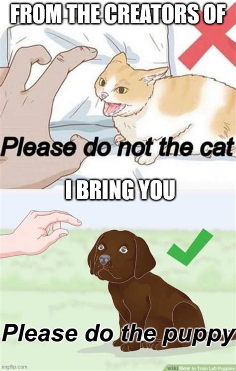 Image Tagged In Please Do Not The Catplease Do The Puppy Imgflip