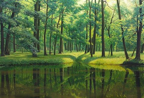 Landscapes Realistic Forest Scenery Paintings Forest Painting
