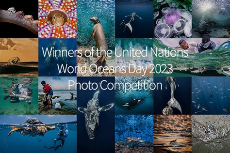 Announcing The Winners Of The Tenth United Nations World Oceans Day