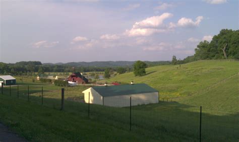 Saint Louis Craigslist Antiques | Walden Wong