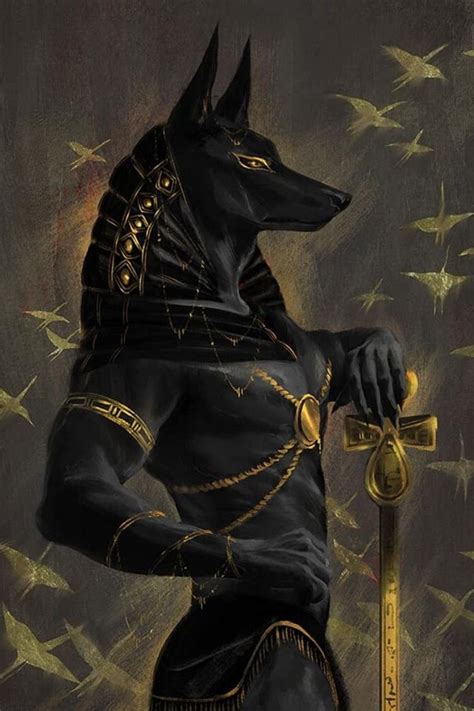 the true meaning of the egyptian god anubis in 2021 ancient egypt art egyptian gods ancient
