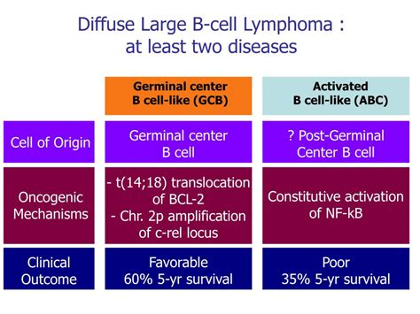 Ppt Lymphomes Diffus à Grandes Cellules B Facteurs Pronostiques Et