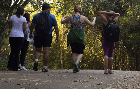 The Benefits of Joining a Walking Group | Park Property Management