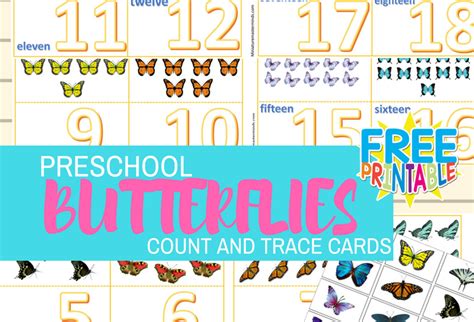 Preschool Butterflies Count And Trace Flash Cards 1 20 Counting Cards