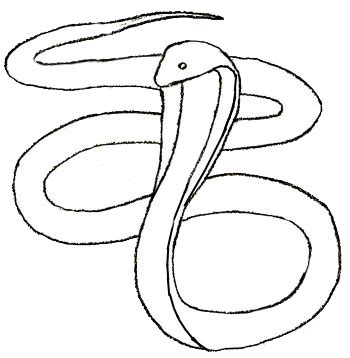 Snake is the dangerous reptile and is found in almost every part of the world. easy sketch of snake - Clip Art Library