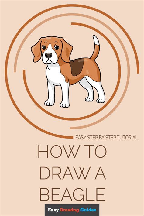 How To Draw A Beagle Really Easy Drawing Tutorial