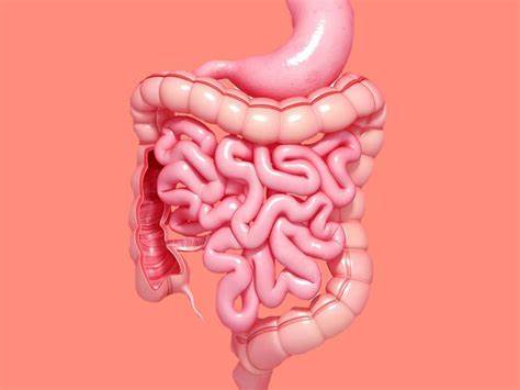 Можно ли очистить кишечник в домашних условиях? - Блог Владислав Ильин Картинка - Можно ли очистить кишечник в домашних условиях? - Блог Владислав Ильин