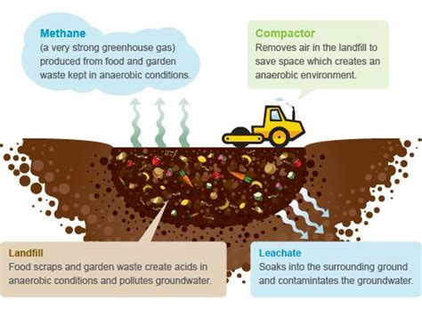 A Great Graphic To Explain The Effects Of Green Waste In Landfill Why