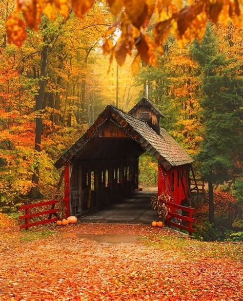 🍂witchy Autumns🌙 Autumn Scenery Scenery Covered Bridges
