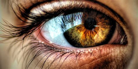 For this reason, they have an unfortunate association with mary sue, especially when described in loving detail. Your Eye Color reveals Information about your Personality ...