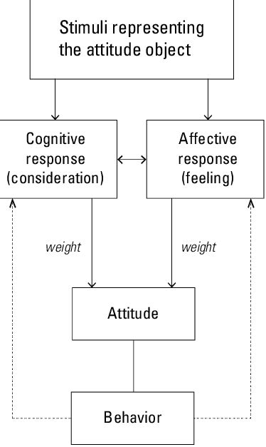 Attitudes Cognition Affect And Behavior Figure Derived From Pligt
