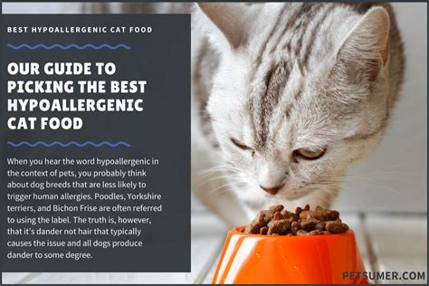 30% off hypoallergenic cat food + free shipping at chewy.com. 10 Best Hypoallergenic Cat Food in 2020