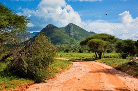 Savanna Landscape In Kenya Africa High Quality Nature Stock Photos