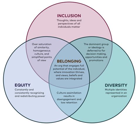 Belonging A Conversation About Equity Diversity And Inclusion — Krys
