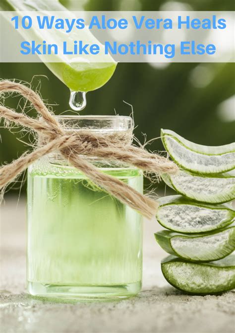 The Aloe Vera Plant Is Amazing For Treating Rashes Burns Acne And