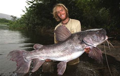 „anakondy pozoruji v amazonii relativně často. Jakub Vágner si přivezl z Konga další trofej. Bájnou rybu ...