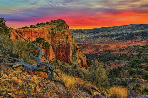 Capitol Reef South Desert Sunset Photograph By Greg Norrell Fine Art