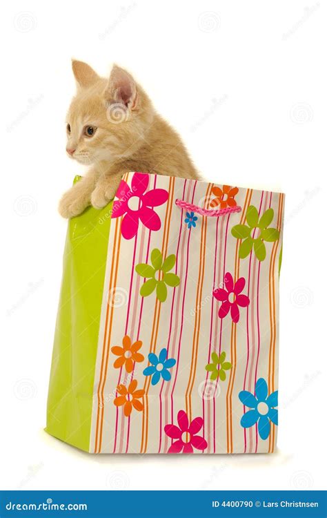 Kitten And Shopping Bag Stock Photo Image Of T Kitten 4400790
