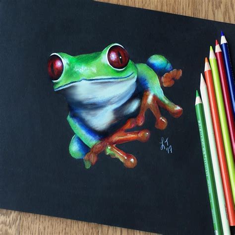 Realistic Frog Drawing Color Pencil Color Pencil Drawing Ideas