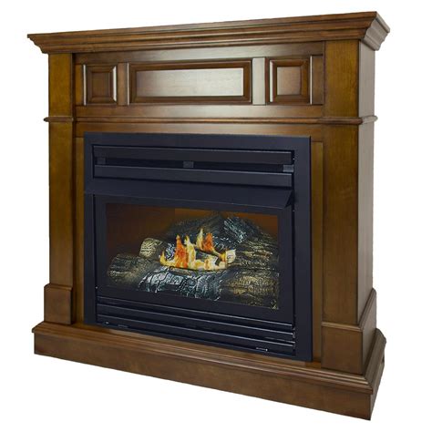 Ventless Propane Fireplace With Blower Fireplace Ideas