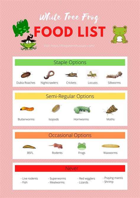 White Tree Frog Diet Food Chart And Feeding Guide