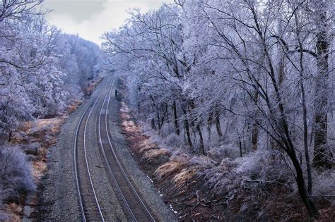 Wallpaper Landscape Forest Sky Snow Winter Train Branch Storm