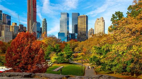 Central Park Fall Foliage Hd Wallpaper Backiee Free