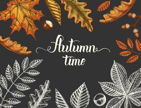 Vintage Autumn Background With Hand Drawn Leaves 1238053 Vector Art At