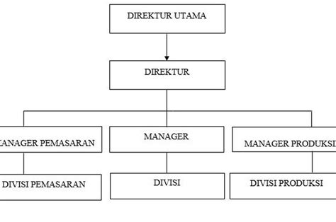 Contoh Struktur Organisasi Disertai Gambar Lengkap Dengan Fungsi