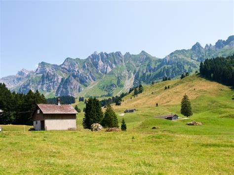 Swiss Landscape Mountains And Green Meadows Stock Photo Image Of