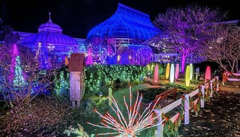 Phipps Conservatory Brings Sparkle And Shine To Winter Flower Show