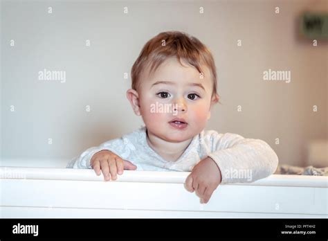 Portrait Of A Cute Little Boy Standing In The Crib In Kids Bedroom