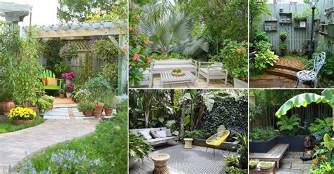 10 Creative Indoor Corner Garden Ideas That Will Transform Your Space