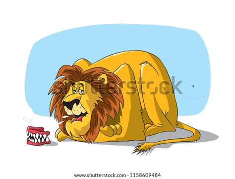Cartoon Old Lion Vector Isolated Animal Stock Vector Royalty Free