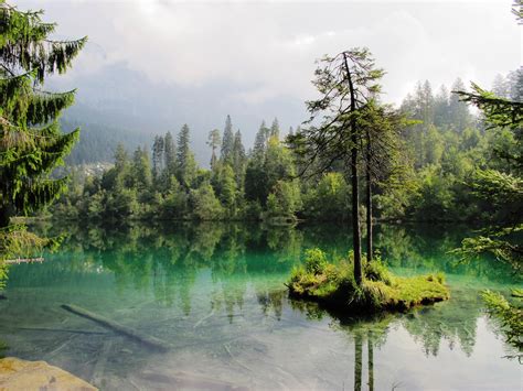 Free Images Landscape Tree Swamp Wilderness Mountain Sky River