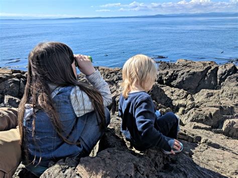 How to Take a Family Gap Year - Family Gap Year Guide