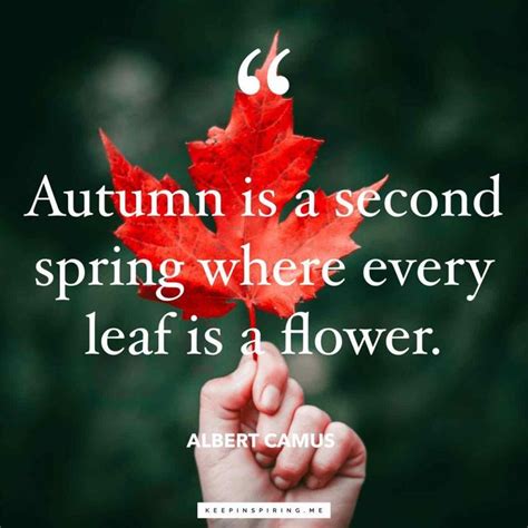 Pin On Fall Quotes
