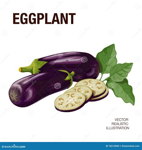 Eggplant Stock Illustration Illustration Of Realistic 76213584