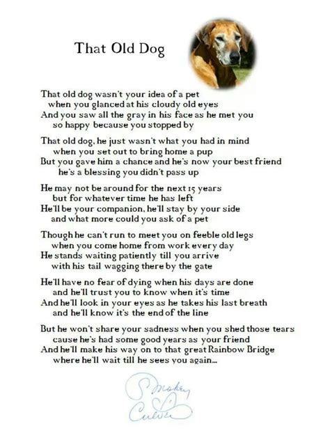 Tribute To Our Senior Dogs Dog Poems Dog Remedies Old Dogs