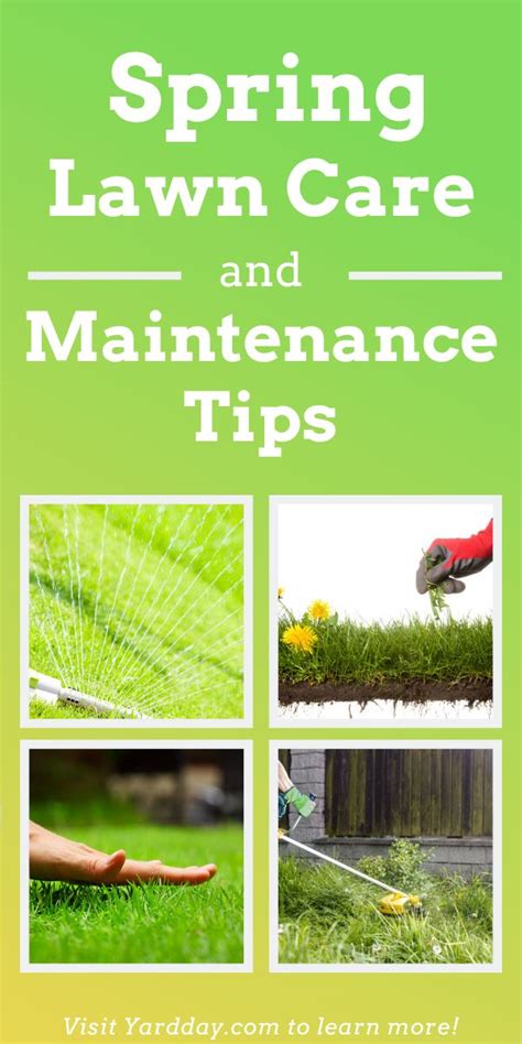 Spring Lawn Care And Maintenance Tips Yard Day Spring Lawn Care