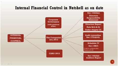 Internal Financial Control