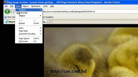 Free Download How To Save Bing Background Images To Desktop And Set As